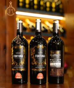 Rượu Vang Ý Fortuna Negro Salento