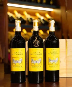 Rượu Vang Đỏ Pháp Grands Vins de Gironde Bordeaux (Có Hộp)
