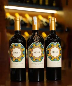 Vang Chile Moye Cabernet Sauvignon Merlot