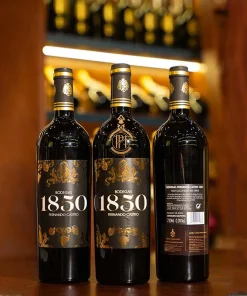Rượu Vang Tây Ban Nha Bodegas 1850 Fernando Castro
