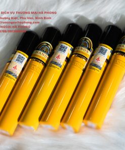 CIGAR HANOS 56 ỐNG NHÔM 1 ĐIẾU