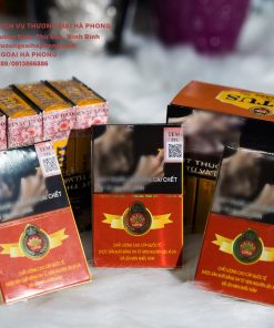 CIGAR LOTUS SHORT 10 ĐIẾU