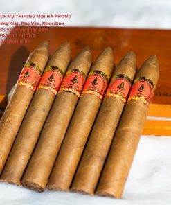 CIGAR VINABOSS'S 54 PYRAMIDE EXTRA HỘP 10 ĐIẾU